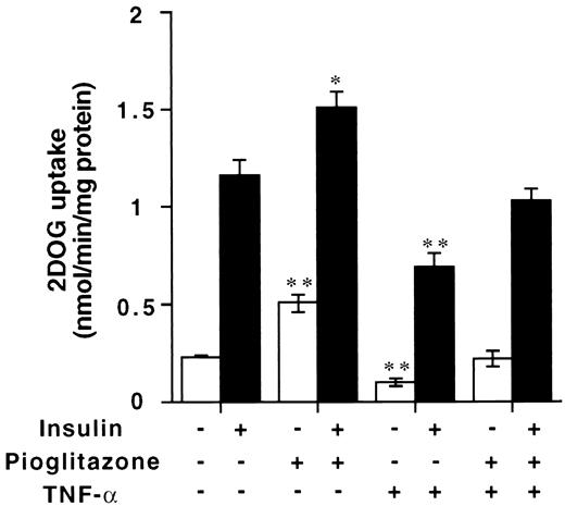 FIG. 1. Effects of TNF-α and pioglitazone on 2-DOG uptake. Fully differentiated 3T3-L1 adipocytes were treated with TNF-α (10 ng/ml) for 96 h, pioglitazone (10 μmol/l) for 48 h, or both (TNF-α for 96 h and pioglitazone for the last 48 h of the TNF-α–treatment period), followed by stimulation with insulin (20 nmol/l) for 15 min. [3H]2-DOG uptake was measured as described under research design and methods. Means ± SE for three independent experiments are shown (*P < 0.05; **P < 0.01 as compared with the values in control cells). In cells treated with both TNF-α and pioglitazone, the values for the basal (P < 0.05) and insulin-stimulated (P < 0.05) 2-DOG uptake were significantly greater as compared with the values in cells treated only with TNF-α.