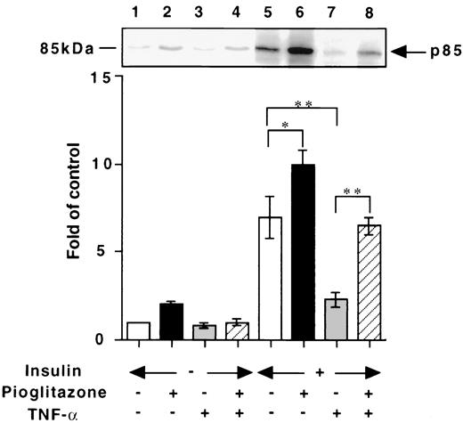 FIG. 3. Effects of TNF-α and pioglitazone on association of p85 with IRS-1. The 3T3-L1 adipocytes were treated as in Fig. 1, followed by stimulation with insulin (20 nmol/l) for 5 min. Proteins in the cell lysates were immunoprecipitated with anti–IRS-1 antibody, separated by SDS-PAGE, and transferred to PVDF membrane, which was probed with an antibody against the p85 subunit of PI 3-kinase. Upper panel: The immunoblot representative of three independent experiments is shown. Lower panel: The immunoblots were scanned and the intensities of the bands were quantitated by a densitometer. Results are normalized for the values in control cells. Error bars represent SE for three independent experiments (*P < 0.05; **P < 0.01).