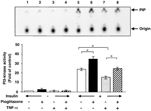 FIG. 4. Effects of TNF-α and pioglitazone on PI 3-kinase activity. The 3T3-L1 adipocytes were treated as in Fig. 1, followed by stimulation with insulin (20 nmol/l) for 10 min. PI 3-kinase activity in the anti-phosphotyrosine antibody (PY20) immunoprecipitates was measured as described under research design and methods. Upper panel: A representative autoradiogram for three independent experiments is shown. The arrows indicate the positions of the origin of sampling (Origin) and PI 3-phosphate (PIP). Lower panel: The labeled lipid products were quantitated by BAS 2000. Results are normalized for the values in control cells. Error bars represent SE for three independent experiments (*P < 0.05).
