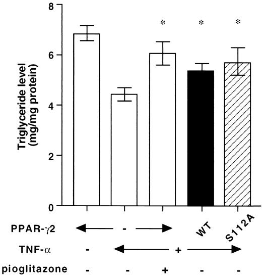 FIG. 6. Effect of PPAR-γ2 overexpression on TG content in TNF-α–treated 3T3-L1 adipocytes. Fully differentiated 3T3-L1 adipocytes were treated with TNF-α (10 ng/ml) for 96 h, or TNF-α and pioglitazone (10 μmol/l; TNF-α for 96 h and pioglitazone for the last 48 h of the TNF-α– treatment period). The cells were infected with adenoviruses containing wild-type (WT) hPPAR-γ2, hPPAR-γ2-S112A, or control β-galactosidase (LacZ) cDNA at a multiplicity of infection of 50, 48 h before the measurement of TG content in the adipocytes as described under research design and methods. Error bars represent SE for three independent experiments (*P < 0.05 as compared with the values in the cells treated with TNF-α and infected with the control adenovirus).