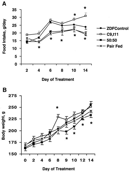 FIG. 1. Effect of dietary treatments on food intake (A) and body weight gain in ZDF rats (B). Male normoglycemic ZDF rats (n = 16 per treatment group, 7 weeks of age) were assigned to various dietary treatments as described in research design and methods. Body weight and food intake were quantified on alternate days throughout the study (14 days). *P < 0.01 vs. ZDF controls.