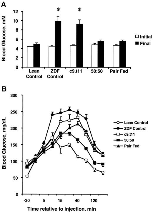 FIG. 2. Effect of dietary treatments on blood glucose concentrations (A) and whole-body glucose tolerance (B) in ZDF rats. A: Blood glucose concentrations were determined in lean (n = 8) and ZDF (n = 16 per treatment) animals at 9:00 a.m. on day 0 (initial) and at the end of the treatment period (final), as described in research design and methods. *P < 0.001. B: On day 11, glucose tolerance was determined in a subset of animals (n = 4 lean controls and n = 8 ZDF per treatment group), as described in research design and methods. Data are means ± SE for each time point. Area under the curve analysis indicates that glucose tolerance was improved in 50:50 vs. ZDF control rats (P < 0.01); pair-feeding had an intermediate effect (P < 0.05 vs. ZDF control and 50:50 rats).