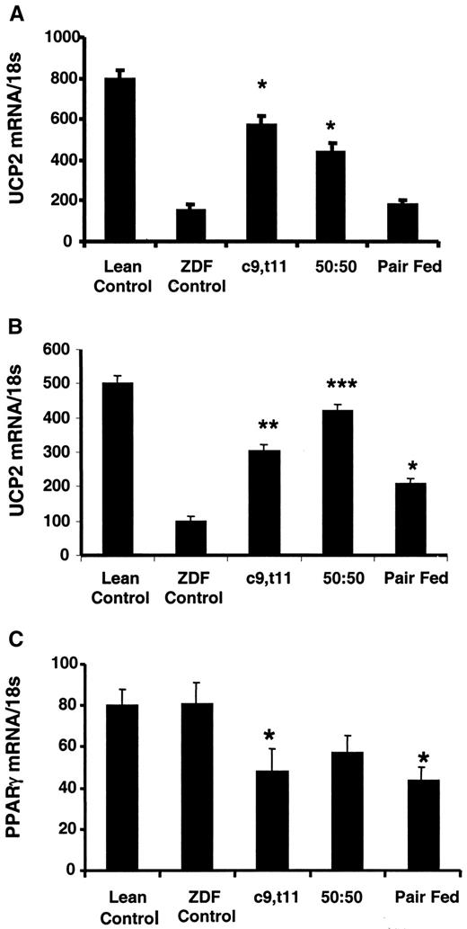 FIG. 5. Effect of dietary treatments on UCP2 mRNA abundance in gastrocnemius muscle (A) or white adipose tissue (B) and on PPAR-γ mRNA abundance in liver (C) from ZDF rats. Lean and ZDF rats were maintained on experimental diets as described in research design and methods. At the culmination of the study, animals were killed, tissues were collected and processed for mRNA, and Northern analysis was performed as described in research design and methods. Bar graphs: data are means ± SE for n = 4 lean controls and n = 6 (A and B) or n = 4 (C) ZDF rats/treatment. A: *P < 0.01 vs. ZDF controls and pair-fed animals. B: *P < 0.01 vs. ZDF controls; **P < 0.001 vs. ZDF controls; ***P < 0.0001 vs. ZDF controls. C: *P < 0.04 vs. ZDF or lean controls; **P < 0.01 vs. ZDF or lean controls.