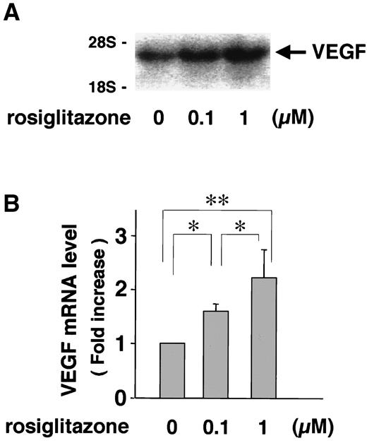 FIG. 4. Effect of rosiglitazone on VEGF mRNA in 3T3-L1 adipocytes. A: Confluent 3T3-L1 adipocytes were incubated with the indicated concentrations of rosiglitazone for 2 h. Total RNA isolation and Northern blotting were performed. Data presented are representative of four independent experiments. Arrow indicates VEGF165-specific transcripts. B: The VEGF mRNA levels were quantitated, and fold-increase was determined as described in the legend to Fig. 3. Data are means ± SD of four independent experiments. *P < 0.05, **P < 0.01 for comparisons shown.