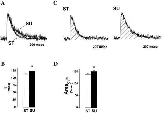 FIG. 3. Ca2+ transients recorded from fura-2−loaded ventricular myocytes isolated from ST and SU rats. A: Ca2+ transient decay was evaluated by curve fitting the falling phase of the signal with a single exponential equation and expressing the time constant τ. The superimposed lines illustrate the calculated fits. B: Bar graph of summary data for the time constant τ. C: Integration of Ca2+ signals ([hatch lines]) for ST and SU rats. D: Bar graph of summary data for the integrated Ca2+ transients normalized to peak (AreaCa2+). Data represent means ± SE from 85–89 cells per diet (isolated from 6–7 hearts per diet). *P < 0.05 between diets.