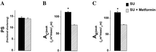 FIG. 4. Mechanical properties of myocytes from SU and SU + MET rats. PS (A) is PT expressed as the percentage of resting cell length. Myocyte contraction (AC/peak) (B) and relaxation (AR/peak) (C) are shown for SU and SU + MET rats. Data represent means ± SE from 49–97 cells per diet (isolated from 1–2 hearts per group) collected from a separate cohort of rats than those presented in Figs. 11,2,3. *P < 0.05 between treatments.