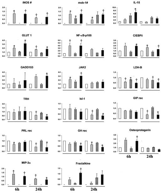 FIG. 1. Confirmation by RT-PCR of the genes detected by duplicated microarray analysis as modified by cytokines in purified rat β-cells (Table 1). Rat β-cells (105 cells/condition) were exposed for 6 or 24 h to the following conditions: control (no cytokine added) (open bars), IL-1β (50 U/ml) (shaded bars), INF-γ (1,000 U/ml) (striped bars), and IL-1β + INF-γ (filled bars). After these time points, the cells were harvested, mRNA extracted, and RT-PCR performed with the equivalent of 1.5 × 103 cells. PCR band intensities were expressed as OD corrected for GAPDH expression. The data are presented as a percentage of the respective controls, which received an arbitrary value of 1 in each experiment. #When control values were not detectable, the absolute OD values corrected by GAPDH are presented. Data are means ± SE of 3–5 experiments. LDH-B, lactate dehydrogenase B; rec, receptor. *P < 0.05; †P < 0.01 vs. corresponding control groups, paired Student’s t test.