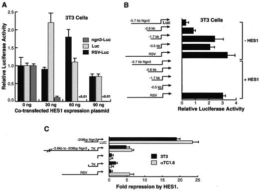 FIG. 8. HES1 inhibits the ngn3 promoter. A: NIH3T3 cells were transfected with the reporter construct indicated and cotransfected with the indicated amount of expression plasmid containing the HES1 cDNA ligated downstream of the CMV promoter (vector pBAT12). The luciferase activity is expressed relative to the activity in cells transfected with the reporter plasmid alone. B: The relative activity of various fragments of the Ngn3 promoter and the Rous sarcoma virus (RSV) promoter ligated upstream of luciferase is shown in the presence or absence of cotransfection with 90 ng/million cells of the HES1 expression plasmid. C: Fold repression by cotransfected HES1of luciferase activity from the indicated promoters is shown in NIH3T3- and αTC1.6 cells. Fold repression is the inverse of relative luciferase activity. Transfections were performed in triplicate on at least three separate occasions. Data are shown as means ± SE.