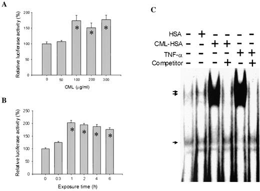 FIG. 1. CML-HSA induces NF-κB transcriptional activation in THP-1 cells. A: Concentration-dependent stimulation of NF-κB–luciferase reporter by CML-HSA. THP-1 cells were transiently transfected with the NF-κB–Luc reporter gene, treated 1 h with the indicated concentrations of CML-HSA, and harvested for analysis of luciferase activity. B: Time-dependent stimulation of NF-κB–luciferase reporter by CML-HSA. After transfection, cells were exposed to 100 μg/ml CML-HSA for the indicated period of time followed by luciferase measurement. Relative luciferase activities are expressed as the mean ± SE of at least three independent experiments with triplicate determinations, setting the basal (i.e., no CML-HSA exposure) at 100%. C: CML-HSA treatment resulted in increased NF-κB DNA-binding activity. Some 5 μg of nuclear extract prepared from THP-1 cells treated for 4 h with 100 μg/ml HSA, 100 μg/ml CML-HSA, or 10 ng/ml recombinant human TNF-α was incubated with radiolabeled double-stranded oligonucleotides containing the c-myc NF-κB binding site in the presence or absence of excess unlabeled probe (competitor). The single arrow indicates nonspecific binding to the probe, and the double arrows indicate specific DNA binding that is effectively competed by adding excess unlabeled double-stranded probe or is absent when the binding site was altered (data not shown). *P < 0.05 compared with basal levels.