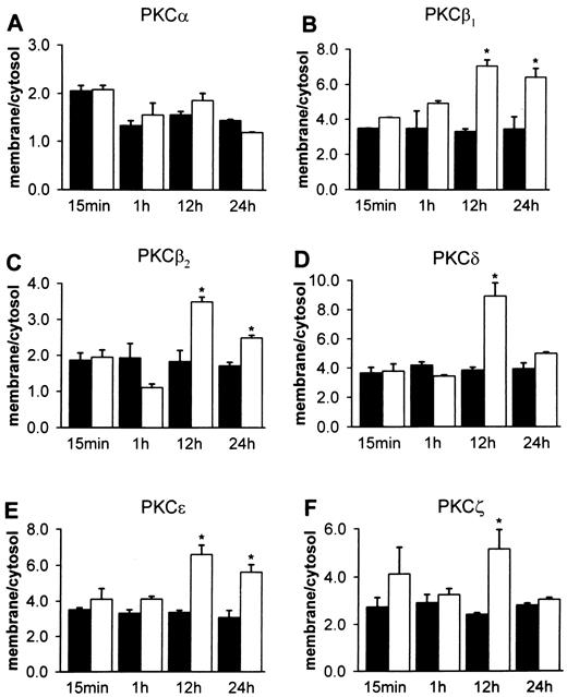 FIG. 3. Time course for translocation of PKC isozymes in adult rat ventricular myocytes exposed to 5 (▪) or 25 (□) mmol/l glucose. Membrane immunoreactivity for PKC-β1, -β2, -δ, -ε, and -ζ was increased following exposure to 25 mmol/l glucose for 12 h. The response was sustained for PKC-β1, -β2, and -ε at 24 h. Data points represent two to four independent observations. *P ≤ 0.05, 5 vs. 25 mmol/l glucose.