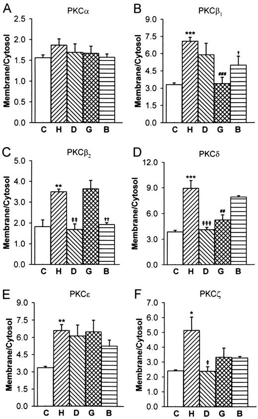 FIG. 4. Effect of D609, genistein, and BAPTA/AM on translocation of PKC isozymes in adult rat ventricular myocytes exposed to 25 mmol/l glucose for 12 h. Note that none of the inhibitors had a uniform inhibitory effect on PKC translocation. D609 completely reversed PKC-β2, -δ, and -ζ. Genistein blocked translocation of PKC-β1 and -δ; BAPTA/AM inhibited translocation of PKC-β1 and -β2. C, 5 mmol/l glucose; H, 25 mmol/l glucose; D, 25 mmol/l glucose + D609 (100 μmol/l); G, 25 mmol/l glucose + genistein (100 μmol/l); B, 25 mmol/l glucose + BAPTA/AM (25 μmol/l). Data points represent three to five independent observations. *P ≤ 0.05 C vs. H; †P ≤ 0.05 H vs. B; ‡P ≤ 0.05 H vs. D; **P ≤ 0.01 C vs. H; ††P ≤ 0.01 H vs. B; ‡‡P ≤ 0.01 H vs. D; ##P ≤ 0.01 H vs. G; ***P ≤ 0.001 C vs. H; ‡‡‡P ≤ 0.001 H vs. D; ###P ≤ 0.001 H vs. G.