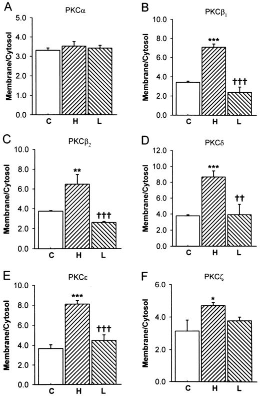 FIG. 6. Effect of AT-1R blockade with losartan (100 nmol/l) on 25 mmol/l glucose–induced PKC translocation in adult rat ventricular myocytes. Losartan completely reversed translocation of PKC-β1δ, -β2δ, and -ε. C, 5 mmol/l glucose; H, 25 mmol/l glucose; L, 25 mmol/l glucose + losartan (100 nmol/l). Data represent three to six independent observations. *P ≤ 0.05 C vs. H; **P ≤ 0.01 C vs. H; ††P ≤ 0.01 H vs. L; ***P ≤ 0.001 C vs. H; †††P ≤ 0.001 H vs. L.