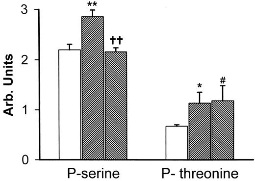 FIG. 8. Effect of losartan (100 nmol/l) on 25 mmol/l glucose−induced phosphorylation of Tn I. Losartan selectively blocked phosphorylation of Tn I serine residues, but did not inhibit threonine phosphorylation. C, □, 5 mmol/l glucose; H, [cjs2113], 25 mmol/l glucose; L, [cjs2112], 25 mmol/l glucose + losartan (100 nmol/l). Data represent five to eight independent observations. *P ≤ 0.05 C vs. H; ††P ≤ 0.01 H vs. L; #P ≤ 0.05 C vs. L; **P ≤ 0.01 C vs. H.
