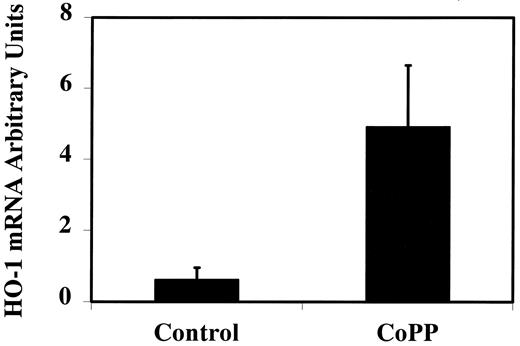 FIG. 6. Quantitative analysis of HO-1 mRNA expression in islet graft. Chemically induced diabetic C57BL/6 mice were treated with CoPP (20 mg/kg body wt) or saline on days –1 and 1 and received a syngeneic islet graft under the kidney capsule on day 0. The kidneys bearing the graft were obtained on day 2, and quantitative RT-PCR for HO-1 mRNA expression was performed on the grafts. Data show that in the treated group, CoPP treatment of the recipient leads to a 7.78- to 8-fold increase of HO-1 mRNA steady levels versus control (CoPP, n = 4; control, n = 3; P < 0.001). Data are expressed as arbitrary units of HO-1 mRNA normalized to β-actin.