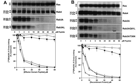 FIG. 1. A 17/20-kDa protein doublet specifically interacts with Rab3A effector domain peptides and recombinant proteins. Specific competitive inhibition of photoactivated cross-linking of [125I]Rab3AL-X to a 17/20-kDa cytosolic protein doublet in rat insulinoma tissue lysate (2 μg total protein) by either “effector domain” synthetic peptides (A) or recombinant Rab3A-related fusion proteins (B) was performed as previously described, with analysis by gel electrophoresis, autoradiography, and densitometric scanning. □, Ras; ▪, Rab4; ○, Rab3A; •, Rab3AL; ▵, Rab3AQ81L; ▴, Rab3AT36N. Each panel contains a specimen autoradiograph for each competitive agent, and a graph of densitometric scanning analyses. Results are means ± SE of at least three independent determinations.