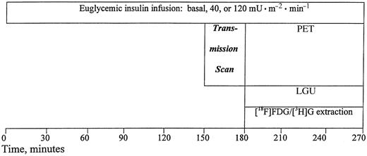FIG. 1. Study protocol. Bolus injections of [18F]FDG and [3H]G were administered at 180 min. Arterial sampling was performed as described in the text.