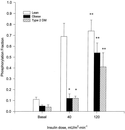 FIG. 5. Effect of insulin on the PF of [18F]FDG in lean (□), obese (▪), and type 2 diabetic ([cjs2112]) subjects. *The PF was reduced at the moderate (40 mU/m2 per min) insulin dose for obese and type 2 diabetic subjects when compared with lean subjects (P < 0.05). **The PF was increased compared with the basal state at the high (120 mU/m2 per min) insulin dose for the lean, obese, and type 2 diabetic subjects (P < 0.05).