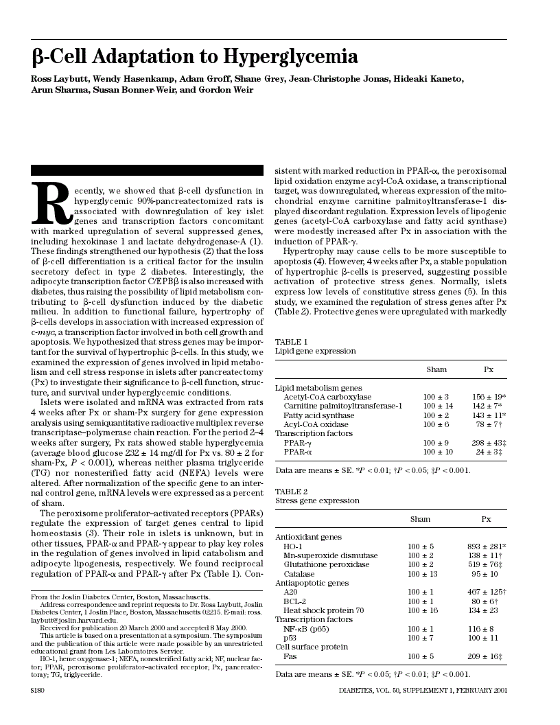 First page of beta-cell adaptation to hyperglycemia.