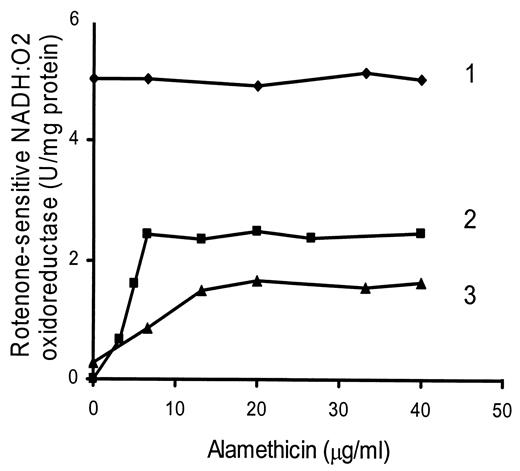 FIG. 1. Effect of alamethicin on rotenone-sensitive NADH:O2 oxidoreductase activity in bovine heart submitochondrial particles (1), rat liver mitochondria (2), and rat heart homogenate (3).