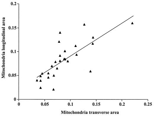FIG. 2. Correlation (r = 0.76, P < 0.001) between mitochondria area measured in the longitudinal axis and the area measured in the transverse axis on electron micrographs of skeletal muscle.