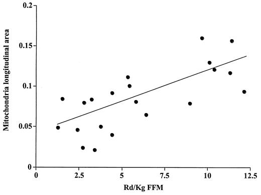 FIG. 3. Insulin sensitivity measured by the euglycemic clamp method plotted against skeletal muscle mitochondrial size measured by electon microscopy. There was a positive correlation between these variables (r = 0.72, P < 0.01). FFM, fat-free mass; Rd, glucose disposal rate.