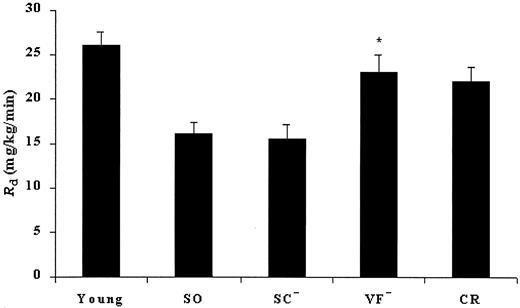 FIG. 1. Peripheral insulin sensitivity in aging rats. Shown are results for young (2-month-old) and old (20-month-old) F1 hybrids of F344 and Brown Norway rats. The old rats underwent VF removal (VF−), SC fat removal (SC−), or sham operation (SO), or they were calorically restricted (see research design and methods). Glucose uptake (Rd) during hyperinsulinemic (6 mU · kg−1 · min−1) pancreatic clamps is shown. *P < 0.001 vs. SC− and SO rats.