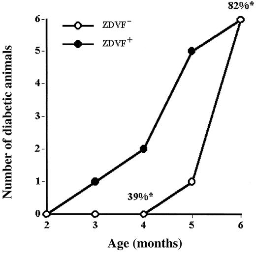 FIG. 3. Development of diabetes and the regrowth of VF in ZDF rats. At 2 months of age, rats were assigned to either have their epididymal and perirenal fat removed (ZDVF−, n = 12) or undergo a sham operation (ZDVF+, n = 12). Six rats from each group were studied using a pancreatic clamp, and the rest were monitored for 4 months until they developed diabetes. The six ZDVF− rats studied at 4 months had 38% of the fat observed in ZDVF+ rats. When diabetes (defined as glucose >12 mmol/l) appeared, ZDVF− VF accounted for 82% of that observed in ZDVF+ rats. *Percent VF in ZDVF− versus ZDVF+ rats.
