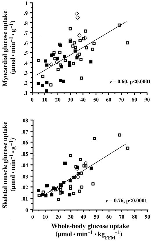 FIG. 2. Direct relationship between myocardial muscle (top) and skeletal muscle (bottom) insulin-mediated glucose uptake and whole-body glucose disposal in the whole study group. □, control subjects; ⋄, type 1 diabetic subjects; ▪, type 2 diabetic subjects.