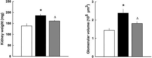 FIG. 1. Mean right kidney weight and glomerular volume on day 60 in nondiabetic controls (□), placebo-treated diabetic db/db mice (▪), and VEGF antibody-treated diabetic db/db mice ([cjs2108]). Values are means + SE (n = 6–12 in each group). *P < 0.01 vs. nondiabetic controls; ΔP < 0.05 vs. nondiabetic controls and placebo-treated db/db mice.