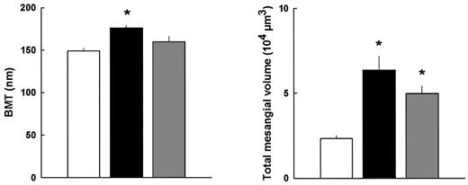 FIG. 2. BMT and total mesangial volume on day 60 in nondiabetic controls (□), placebo-treated diabetic db/db mice (▪), and VEGF antibody-treated diabetic db/db mice ([cjs2108]). Values are means + SE (n = 6–12 in each group). *P < 0.05 vs. nondiabetic controls and VEGF antibody-treated diabetic db/db mice.