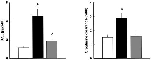 FIG. 3. Mean 24-h UAE and CrCl on day 60 in nondiabetic controls (□), placebo-treated diabetic db/db mice (▪), and VEGF antibody-treated diabetic db/db mice ([cjs2108]). Values are means + SE (n = 6–12 in each group). *P < 0.01 vs. nondiabetic controls; ΔP < 0.05 vs. nondiabetic controls and placebo-treated db/db mice.