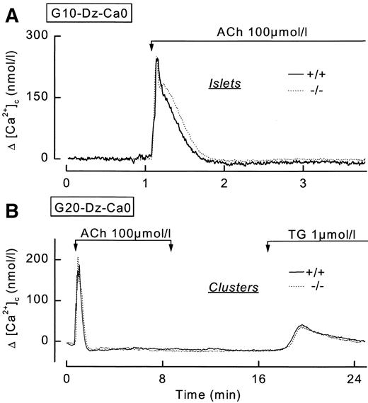 FIG. 4. SERCA3 is not required for refilling IP3-sensitive and -insensitive Ca2+ pools in mouse islets. Before the recording, islets (A) or clusters of islet cells (B) were bathed in a medium containing 2.5 mmol/l Ca2+, 100 μmol/l diazoxide (Dz), and 10 (G10) or 20 mmol/l glucose (G20), respectively. They were then perifused with a Ca2+-free medium supplemented with 2 mmol/l EGTA for 5 (islets) or 8 min (clusters of cells) before addition of 100 μmol/l ACh. In clusters only, 1 μmol/l TG was added as indicated. The traces show mean changes (Δ) around basal [Ca2+]c levels at the beginning of the recording. Basal levels were 117 ± 8 nmol/l, n = 5 (A, solid line); 98 ± 7 nmol/l, n = 6 (A, dotted line); 41 ± 6 nmol/l, n = 4 (B, solid line); and 36 ± 9 nmol/l, n = 4 (B, dotted line).