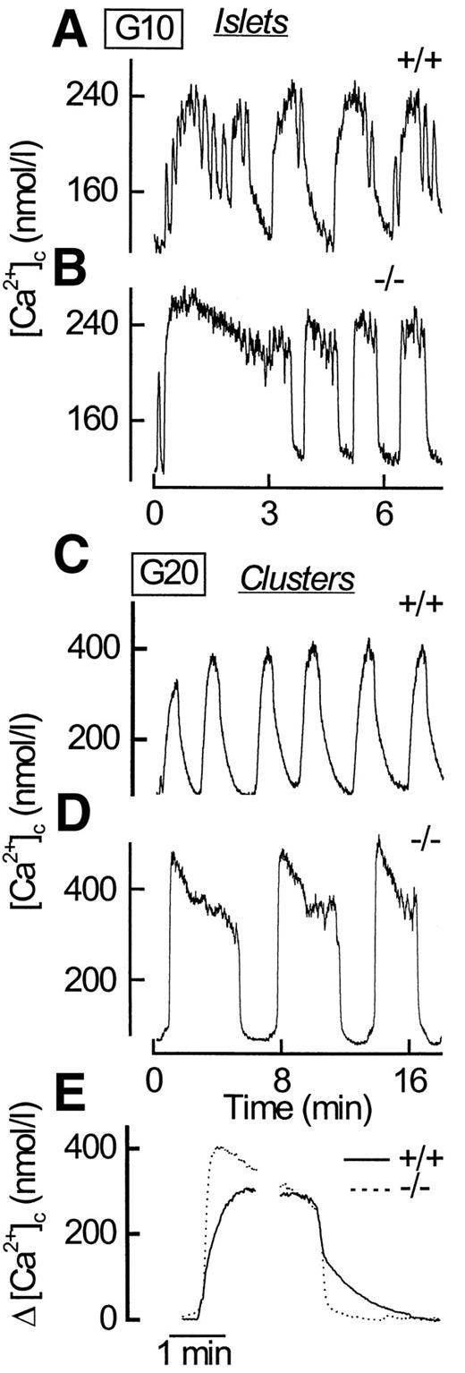 FIG. 7. SERCA3 influences glucose-induced [Ca2+]c oscillations in mouse islets and clusters of islet cells. Isolated islets (A and B) or clusters of islet cells (C–E) from SERCA3 +/+ or SERCA3 −/− mice were perifused with a medium containing 10 (G10) or 20 mmol/l glucose (G20) as indicated. Traces A–D are representative of results obtained in six (A) and five (B) islets and in 8 (C) and 10 (D) clusters. E: Average of 8 or 10 [Ca2+]c oscillations (1 oscillation taken per each experiment) induced by 20 mmol/l glucose in clusters of islets cells from SERCA3 +/+ and SERCA3 −/− mice, respectively. Simple averaging could be misleading because the oscillations have different durations. Averaging was thus performed at the onset and end of all oscillations to show the differences in mean rates of [Ca2+]c rise and decline in the two groups.