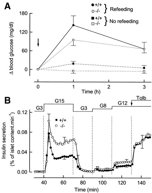 FIG. 8. SERCA3 ablation does not impair glucose tolerance and glucose-induced insulin secretion. A: SERCA3 +/+ (• and ▪) and SERCA3 −/− mice (○ and □) were fasted for 24 h. After a first measurement of blood glucose (time zero), the animals were refed ad libitum (• and ○) and blood glucose was again measured 1 and 3 h later. One week later, the same animals (▪ and □) were fasted again, and blood glucose was measured after 24 (time zero), 25, and 27 h of fasting. Results are expressed as differences (Δ) from blood glucose at time zero (arrow) for each animal (90 ± 10 mg/dl in SERCA3 +/+ and 89 ± 9 mg/dl in SERCA3 −/− mice). Values are means ± SE of results obtained with seven mice for each group. B: Batches of 15 islets from SERCA3 +/+ (•) and SERCA3 −/− mice (○) were perifused with a medium containing 3, 8, 12, or 15 mmol/l glucose (G) or 100 μmol/l tolbutamide (Tolb), as indicated. Insulin secretion is expressed as a percentage of islet insulin content. Values are means ± SE of seven experiments.