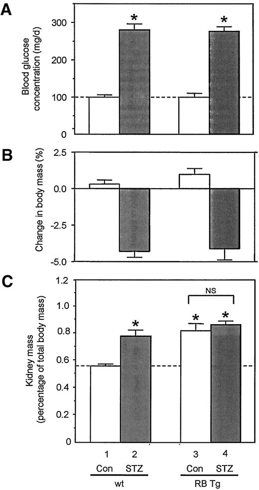 FIG. 1. Effects of diabetes in wild-type mice and in mice overexpressing RB protein. A: Hyperglycemia 7–9 days after induction of diabetes by intraperitoneal injection of STZ as described in research design and methods. Histograms represent means ± SD; n = 4–6 for each histogram. B: Mean change in body mass in the same mice during the study interval of 9 days. C: Mean single kidney wet mass at time of death, expressed as a percentage of total body mass. *P < 0.05 vs. wild-type control (lane 1). □, control mice injected with citrate buffer alone (mean blood glucose concentrations 100 or 103 mg/dl [5.5–5.7 mmol/l]); ▪, age and sex-matched mice injected with STZ (mean blood glucose concentrations 280 or 277 mg/dl [15.4–15.6 mmol/l]).
