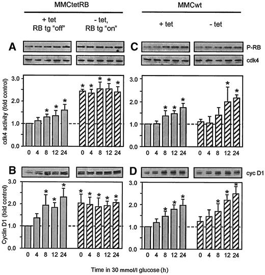 FIG. 5. High glucose or RB overexpression causes time-dependent sustained increases in cdk4 activity and cyclin D1 expression. A: cdk4 activity in MMCtetRB. B: cyclin D1 expression in MMCtetRB. C: cdk4 activity in MMCwt. D: cyclin D1 expression in MMCwt. *P < 0.05 vs. untreated, +tet. MMCs were made quiescent by culture in serum-free medium for 48 h before the addition of 25 mmol/l glucose (30 mmol/l final concentration) for 0–24 h, in the presence (▪) or absence ([cjs2113]) of 1 μg/ml tet, for a total of 3 days before addition of glucose. For each panel, a representative immunoblot or kinase assay (using glutathione S transferase p56RB as substrate) and quantification of three to five independent experiments are shown. In panels A and C, equivalent aliquots of the same cellular lysates were separated by SDS-PAGE and immunoblotted with an anti-cdk4 antibody to assure equivalent loading of each lane in the kinase assay. Histograms represent means ± SE.