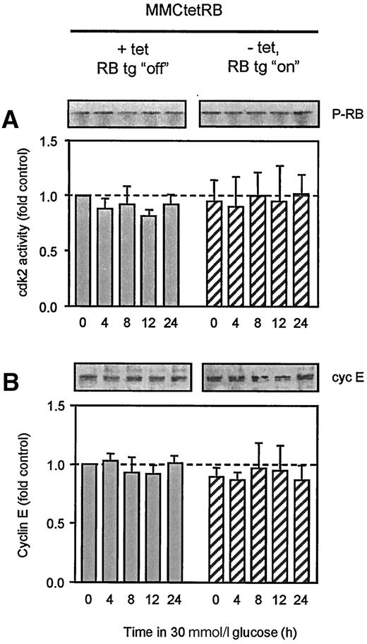 FIG. 6. Neither high glucose nor RB overexpression change cdk2 activity or cyclin E expression. A: Cdk2 activity in MMCtetRB. B: cyclin E expression in MMCtetRB. None of the mean activities or amounts of protein was significantly different from control values (MMCtetRB +tet or MMCwt −tet). Experiments were performed with aliquots of the same cells used to generate the data in Fig. 5. Very similar results were obtained with MMCwt (data not shown).