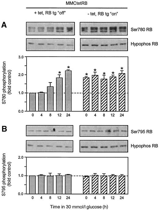 FIG. 8. High glucose induces cdk4-dependent RB phosphorylation in MMCs. Cells were made quiescent by serum deprivation for 24 h before incubation with 30 mmol/l glucose for 0–24 h in the presence (▪) or absence ([cjs2113]) of 1 μg/ml tet. Conditions were identical to those used in Fig. 5. The abundance of RB phosphorylated on Ser 780 or Ser 795 was detected with the same specific anti-phospho-RB antibodies used in Fig. 3. Total hypophosphorylated RB expression was measured by immunoblotting using the C15 antibody (*P < 0.05 vs. 0 h, 5 mmol/l glucose, +tet).