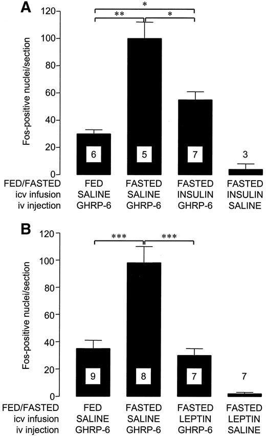 FIG. 2. Mean ± SE number of Fos-positive cells in the arcuate nucleus of Wistar rats injected intravenously with saline or GHRP-6 after central infusion of saline and insulin (2 mU/day) (A) or leptin (1.2 μg/day) (B) for 6 days and allowed free access to food throughout (FED) or fasted for the last 48 h of the infusion period (FASTED). *P = 0.01, **P = 0.004, and ***P = 0.001, Mann-Whitney U test. Numbers within or above columns indicate the number of animals in each group.