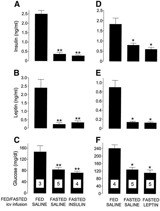 FIG. 3. Mean ± SE plasma insulin, leptin, and glucose concentrations in male Wistar rats infused centrally for 6 days with saline, insulin (A–C), or leptin (D–F) and fasted for the last 48 h of the infusion (FASTED) or allowed free access to food throughout (FED). *P < 0.05 and **P < 0.01 vs. fed rats, ANOVA followed by Newman-Keuls posthoc test. Number of samples assayed for data in A–C and D–F is shown within the columns in C and F, respectively.