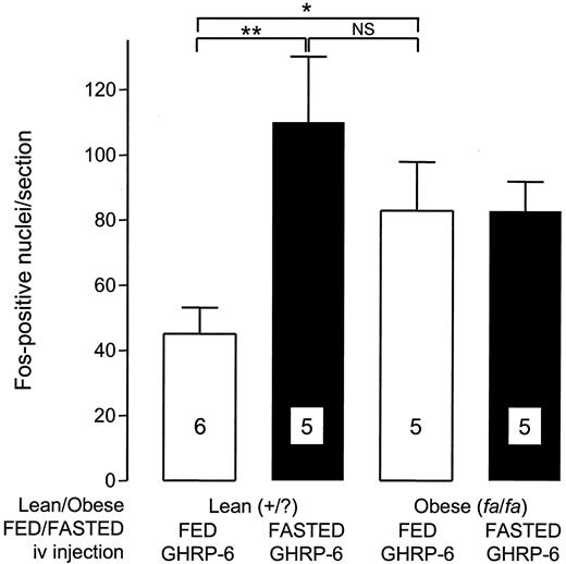 FIG. 4. Mean ± SE number of Fos-positive cells in the arcuate nucleus of fed and 48-h fasted lean (+/?) and obese (fa/fa) Zucker rats following intravenous administration of GHRP-6. *P = 0.03 and **P = 0.02, Mann-Whitney U test (NS, not significant). Numbers within columns indicate the number of animals in each group.