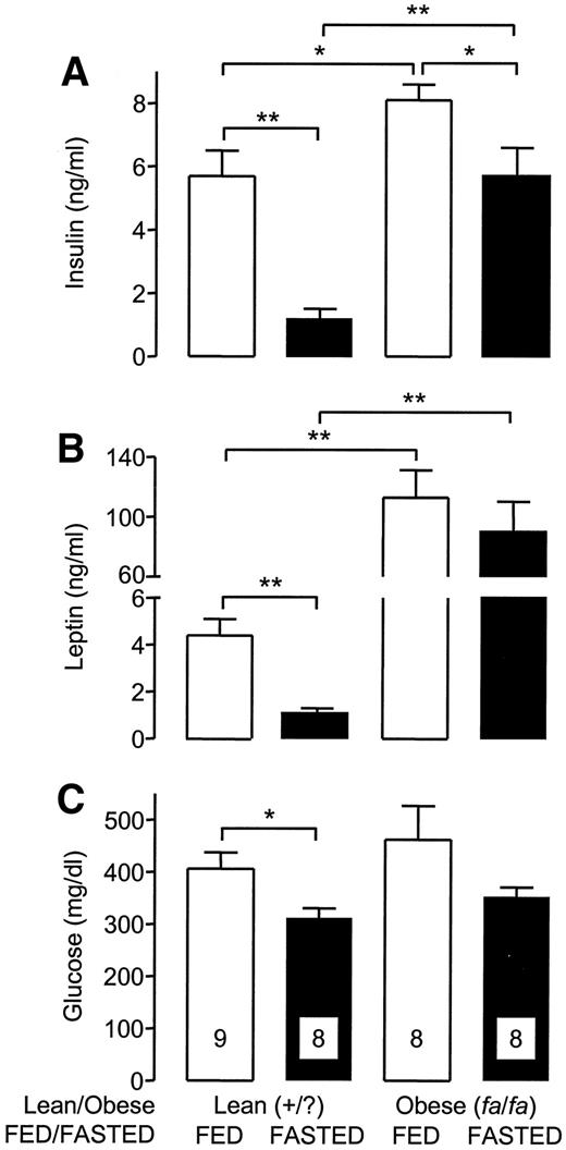 FIG. 5. Mean ± SE plasma insulin (A), leptin (B), and glucose (C) concentrations in fed and 48-h-fasted lean (+/?) and obese (fa/fa) Zucker rats. *P < 0.05 and **P < 0.01, ANOVA followed by Newman-Keuls posthoc test. Number of samples assayed for each group is shown within the columns in C.