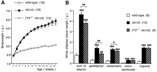 FIG. 1. Effect of germline Y2 receptor deficiency on body composition in leptin-deficient ob/ob mice. A: Body weight curve. B: Combined weight of right inguinal, right epididymal, right retroperitoneal, and mesenteric WAT, with the weight contribution of individual depots shown. Data are means ± SE of the number of mice shown in parentheses. ★P < 0.05, ★★P < 0.01, ★★★P < 0.001 vs. wild-type mice (between-group differences indicated by horizontal bars above columns). Significance level of overall ANOVA analysis was P < 0.001 for all comparisons.
