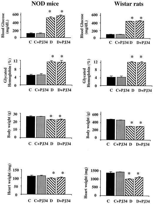 FIG. 1. General characteristics of animals. Body weights, heart weights, blood glucose, and glycated hemoglobin levels in control (C), PJ34-treated (for 4 weeks) control (C+PJ34), diabetic (D) (for 5 weeks), and PJ34-treated (for 4 weeks) diabetic (D+PJ34) NOD mice (on the left) and Wistar rats (on the right). In rats, diabetes was induced by STZ. Data are means ± SE. *P < 0.05 vs. C; #P < 0.05 vs. D.
