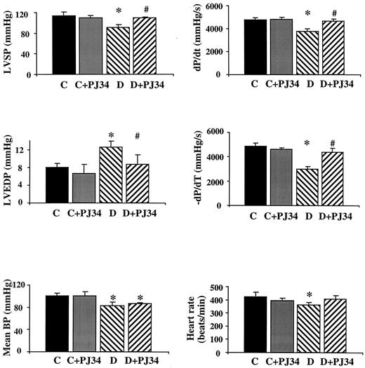 FIG. 2. Reversal of diabetes-induced cardiac dysfunction by pharmacological inhibition of PARP in an autoimmune mouse model of diabetes. Effect of diabetes and PJ34 on left ventricular systolic pressure (LVSP), left ventricular end diastolic pressure (LVEDP), left ventricular +dP/dt, left ventricular −dp/dt, mean blood pressure (mean BP), and heart rate in NOD mice. C, control; D, diabetic; C+PJ34, control treated with PJ34 (for 4 weeks); D+PJ34, diabetic treated with PJ34 (for 4 weeks). Data are means ± SE. *P < 0.05 vs. C; #P < 0.05 vs. D.