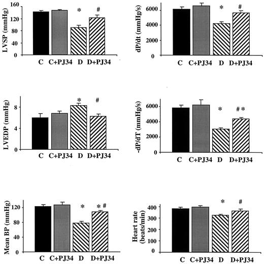 FIG. 3. Reversal of STZ-evoked diabetes induced cardiac dysfunction by pharmacological inhibition of PARP in rats. Effect of diabetes (5 weeks) and PJ34 (4 weeks) on left ventricular systolic pressure (LVSP), left ventricular end diastolic pressure (LVEDP), left ventricular +dP/dt, left ventricular −dp/dt, mean blood pressure (mean BP), and heart rate in rats. C, control; D, diabetic (for 5 weeks); C+PJ34, control treated with PJ34 (for 4 weeks); D+PJ34, diabetic treated with PJ34 (treatment was started after 1 week of established diabetes for further 4 weeks). Data are means ± SE. *P < 0.05 vs. C; #P <0.05 vs. D.
