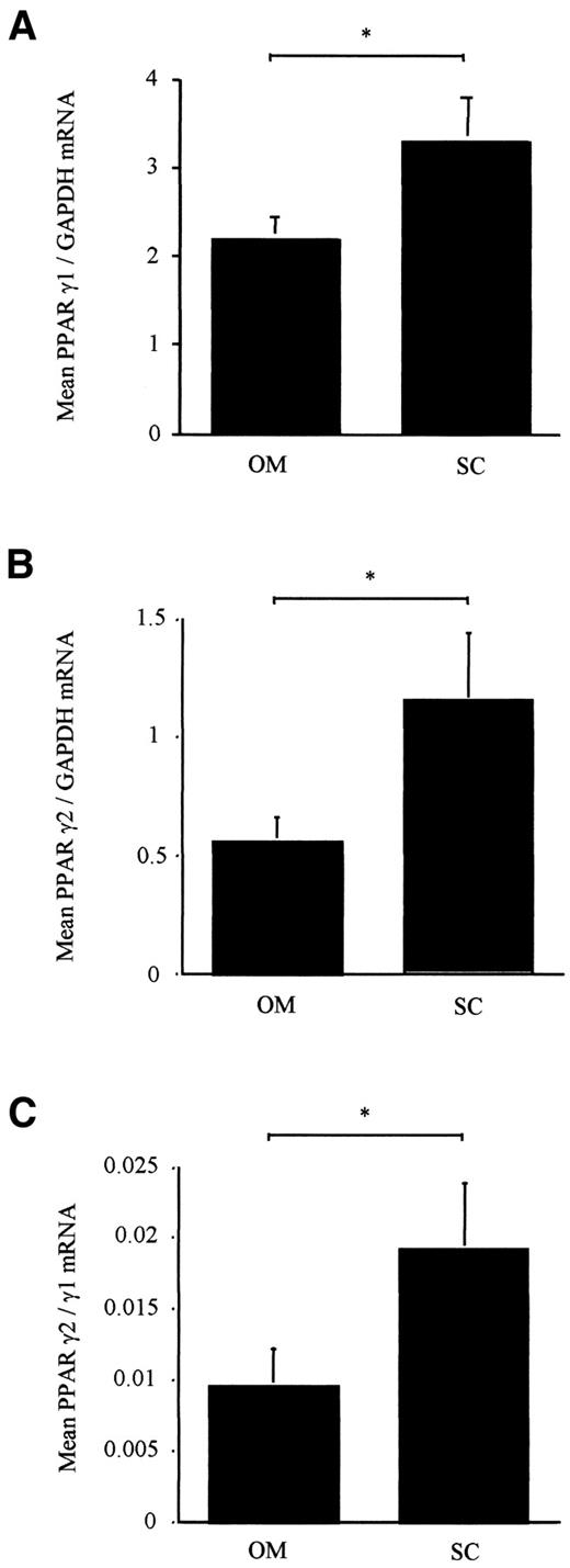 FIG. 1. PPARγ1′2fGAPDH (A), PPARγ2/GAPDH (B), and γ2/γ1 (C) mRNA expression in human OM and SC preadipocytes grown to confluence in vitro (undifferentiated). Results shown are mean ± SE from 15 participants; *P = 0.008.