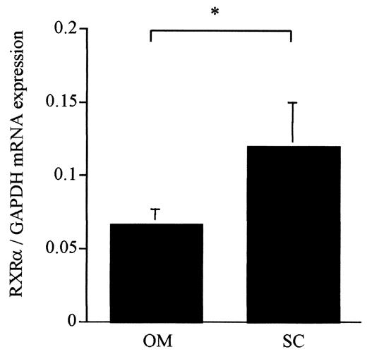FIG. 2. RXRα/GAPDH mRNA expression in human OM and SC preadipocytes grown to confluence in vitro (undifferentiated). Results shown are mean ± SE from 12 participants; *P = 0.002.