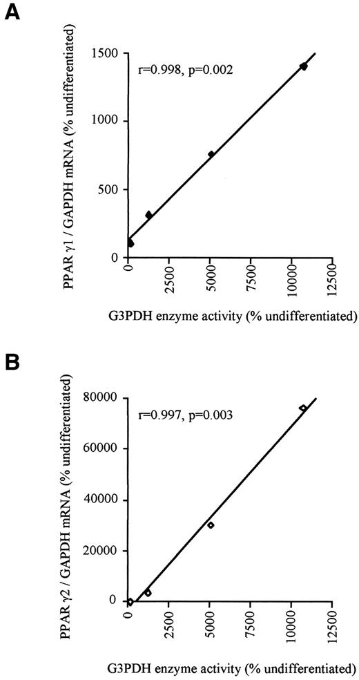 FIG. 4. Relationship between human SC preadipocyte G3PDH enzyme activity and either PPARγ1 (A) or PPARγ2 (B) mRNA expression at 5, 10, and 15 days postdifferentiation. Results are expressed as percentage of day 0 (undifferentiated).