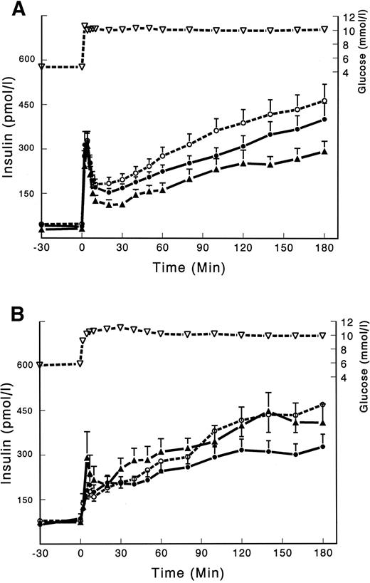 FIG. 2. Glucose and insulin profiles during a 3-h hyperglycemic clamp at 10 mmol/l glucose according to the IRS-2 1057 genotype. Data are expressed as means ± SE. A: Subjects with NGT (n = 64). B: Subjects with IGT (n = 94). ▵, Mean glucose levels in each subject group; •, insulin levels in homozygous wild-type subjects; ○, heterozygotes; ▴, homozygous mutant subjects.